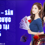 From Classic Tables to Game Shows: Evolution Gaming’s Diverse Portfolio That Sets S666 Apart
